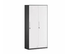 10mm thin edge  2-Door steel Locker